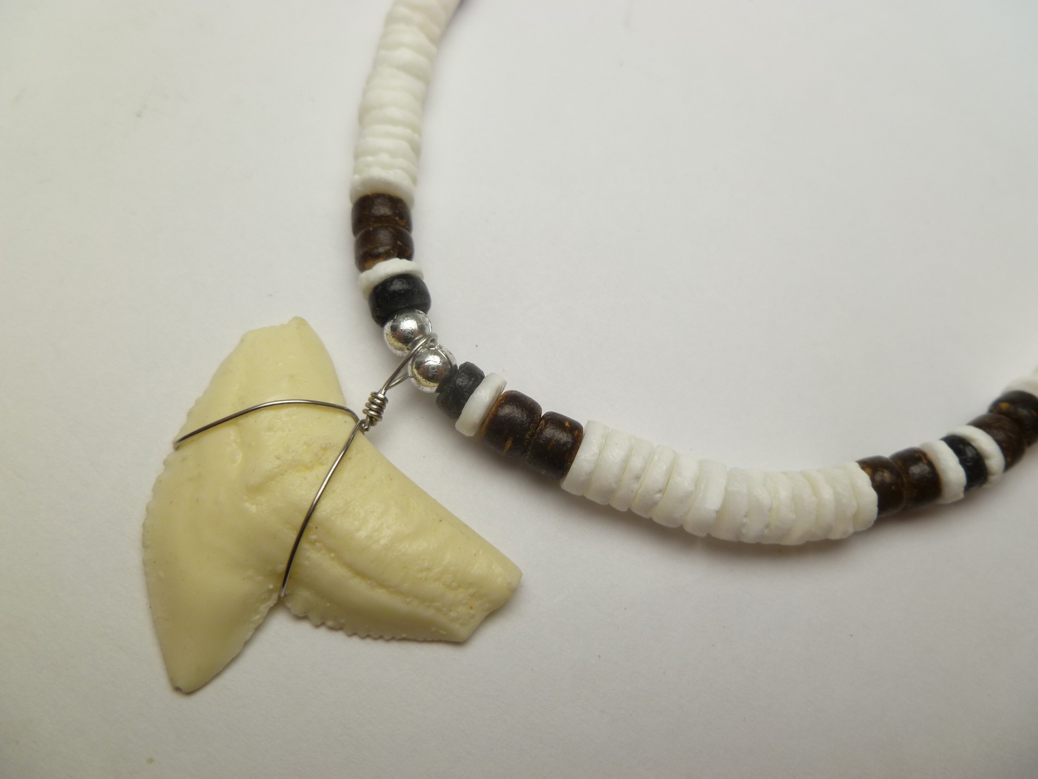 Bone Powder Shark Tooth w/ 18" Coconut & Wood Beads Necklace