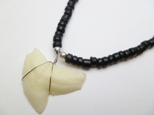 Bone Powder Shark Tooth w/ 18" Coconut & Wood Beads Necklace