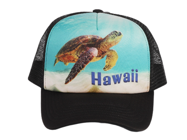 "Hawaii" Swimming Turtle Color Printed Black Mesh Baseball Cap - Click Image to Close