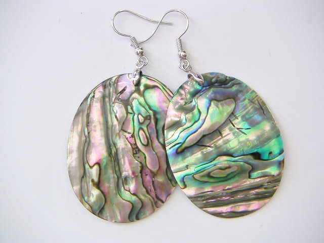 40mm Donut Paua Shell Earring