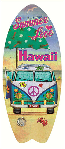 6-Hawaii Metal Sign