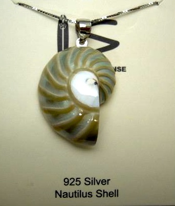 25mm Pearlized Nautilus Shell Pendant w/ 925 Silver Chain 18"