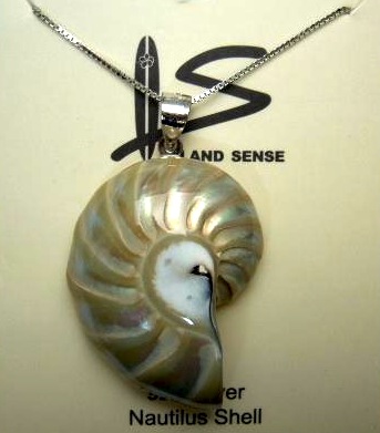 35mm Pearlized Nautilus Shell Pendant w/ 0.7mm 925 Silver Chain