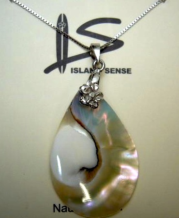 Teardrop Pearlized Nautilus Shell Pendant w/ 925 Silver Chain