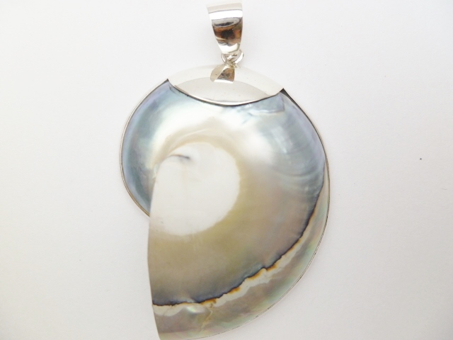 925-Silver 55x40mm Silver Nautilus Shell Pendant