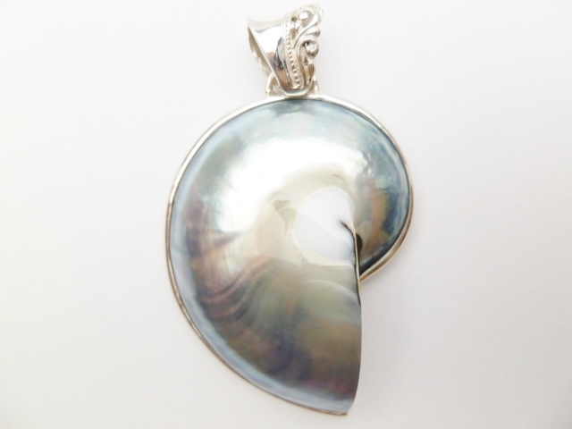 925-Silver 40x30mm Silver Nautilus Shell Pendant