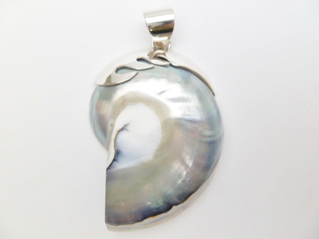 925-Silver 45x30mm Silver Nautilus Shell Pendant