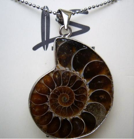 Fossil Nautilus w/ 1.2mm 18KGP Metal Ball Chain 18"