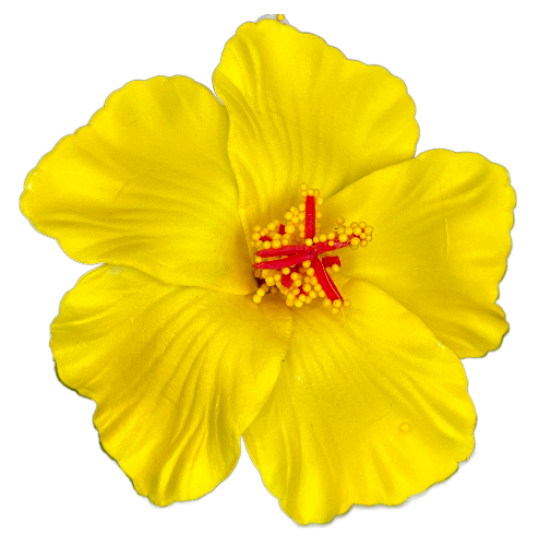90mm Yellow Hibiscus Foam Flower Clip, 12/pk