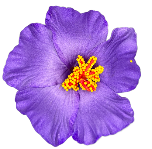 90mm Purple Hibiscus Foam Flower Clip, 12/pk