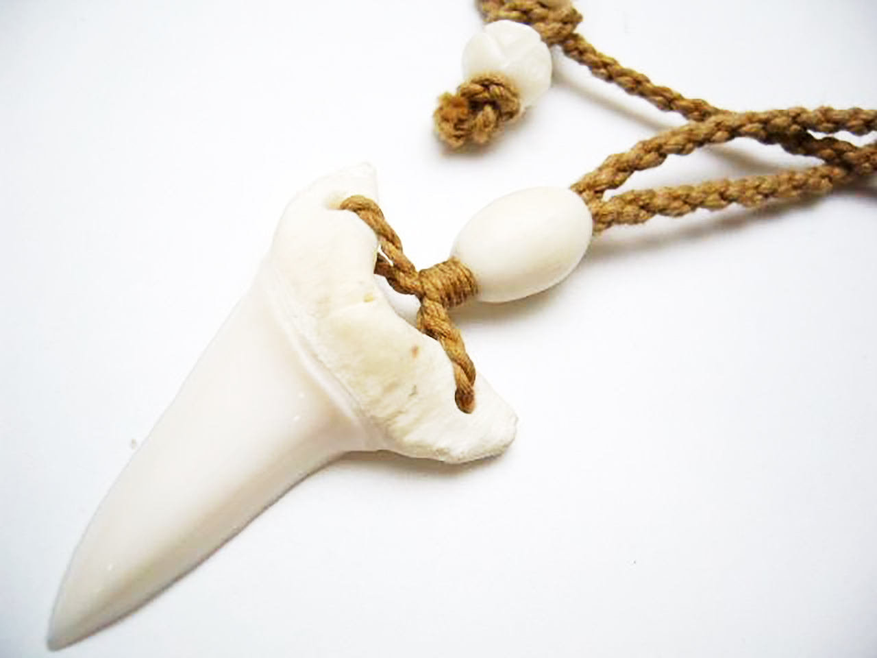 5-Shark Teeth With Hemp Cord