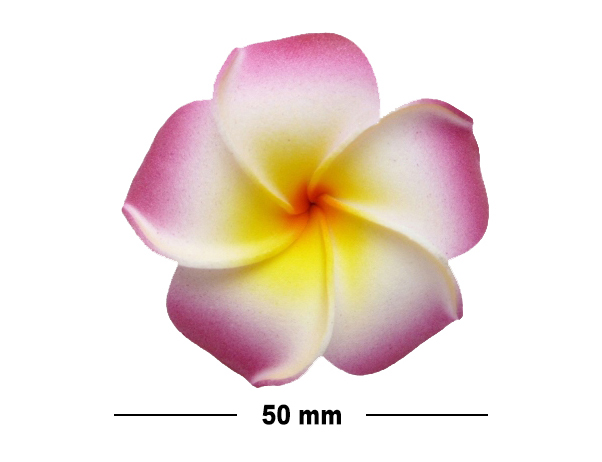 50mm Foam Plumeria Hair Clip