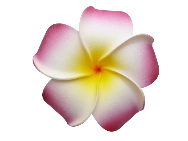 01-Foam Plumeria