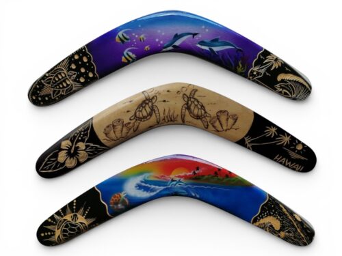 02-Special Order Boomerang