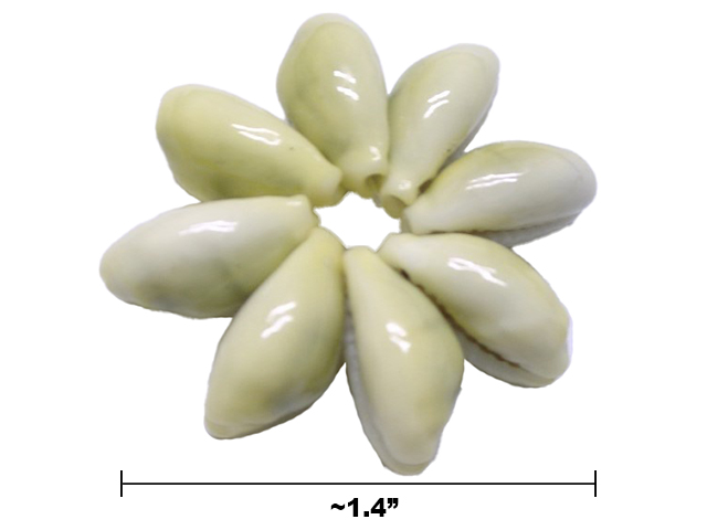 Special Order-1.4" Monita Shell Ring 100 rings/bag, 50bag/case