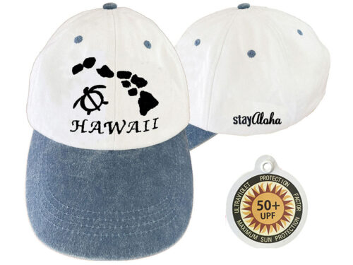 12-Hawaii Turtle-32312