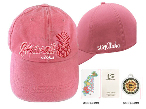 13-Hawaii Pineapple-32313