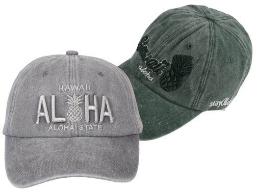 13-Hawaii / Aloha Pineapple