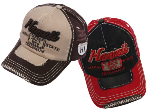 05-Hawaii Aloha State