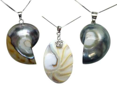 38-Nautilus Shell Silver Chain