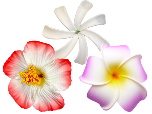 11-Hair Accessories, Clip, Comb