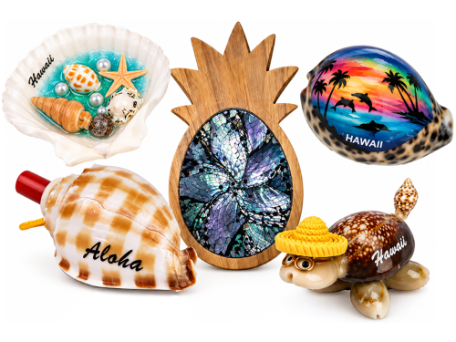 01-Sea Shells Gift