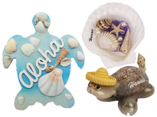 02-Sea Shell Magnets